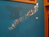 Suspended Animation